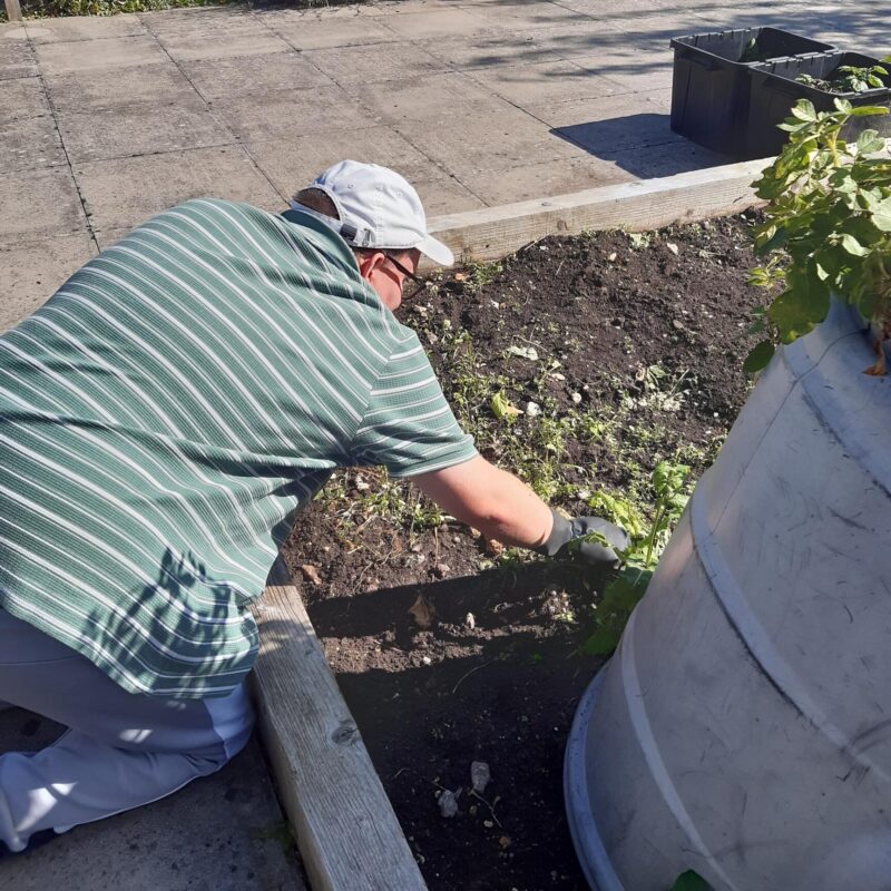 Caring for raised beds