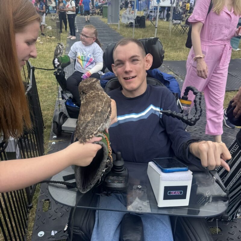 D L Owl