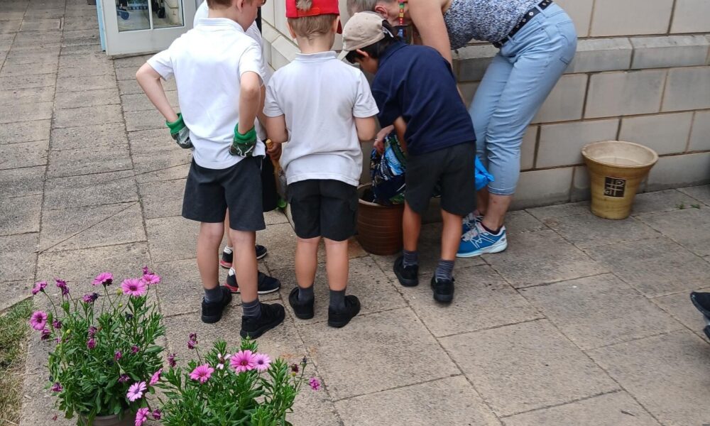 Group of children planing flower pots