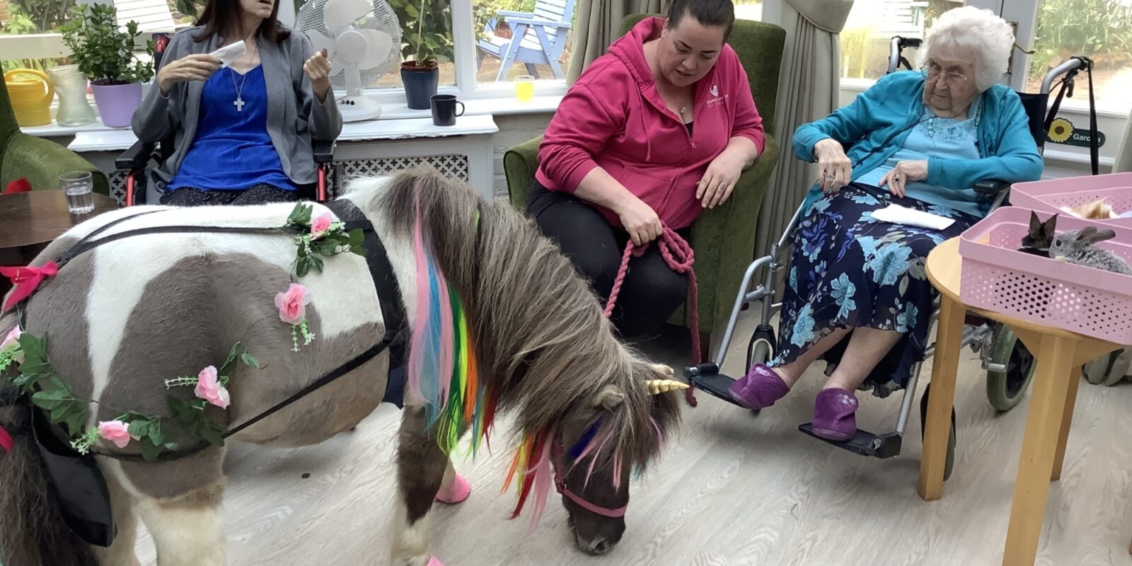 Pony visiting residents in lounge
