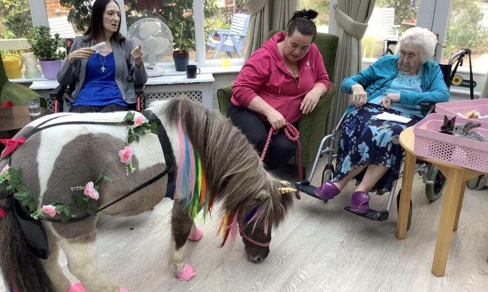 Pony visiting residents in lounge
