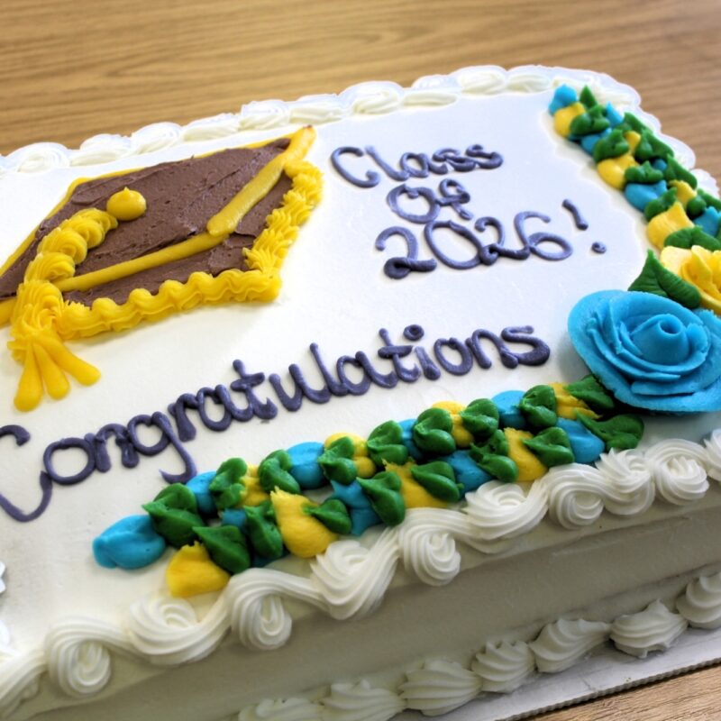Celebration cake 2026