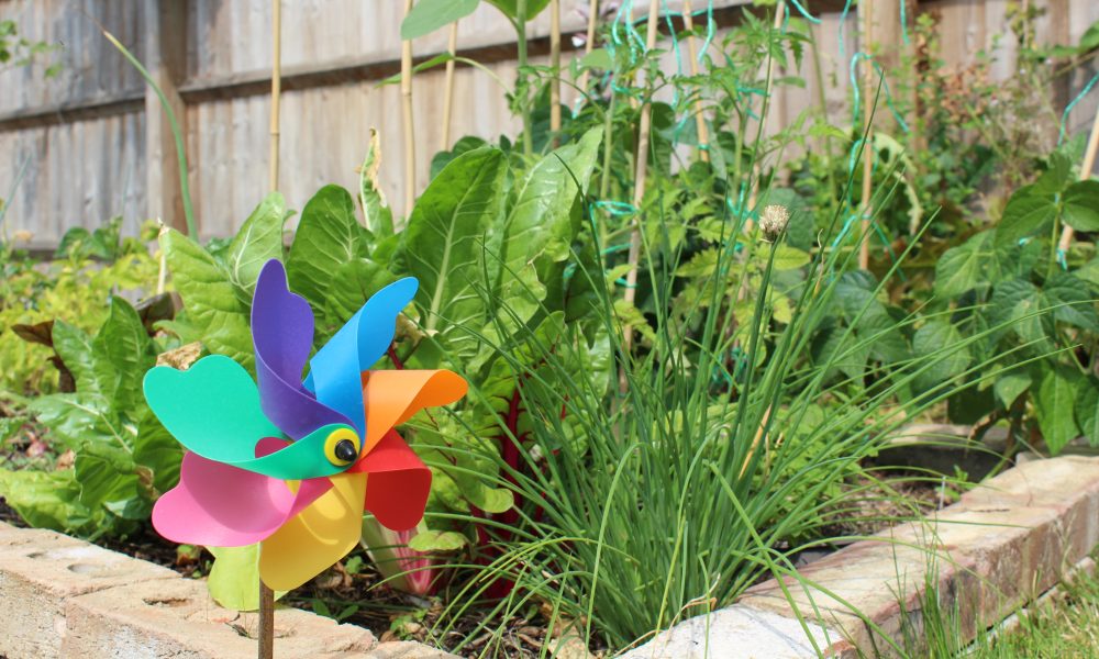 Colourful windmill in garden